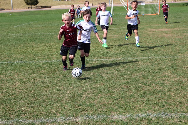 看球队比赛 看球队比赛